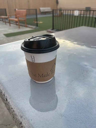 Fresh coffee being poured